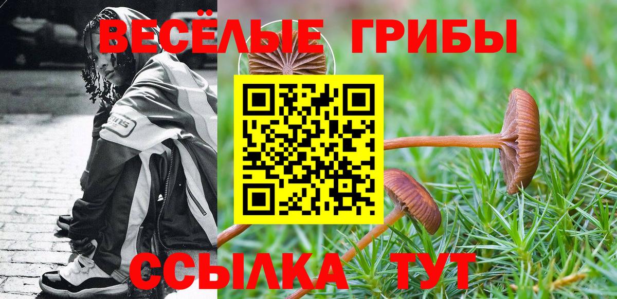 Псилоцибиновые грибы мухоморы  наркотики  Псилоцибиновые грибы мицелий  Менделеевск  Вход с VPN 